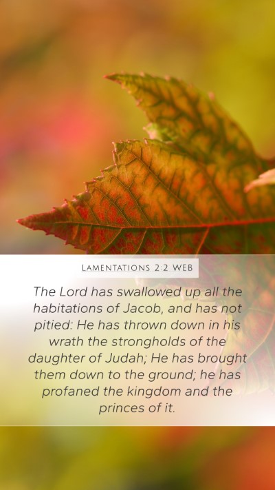 Lamentations 2:2 WEB Bible Verse Image