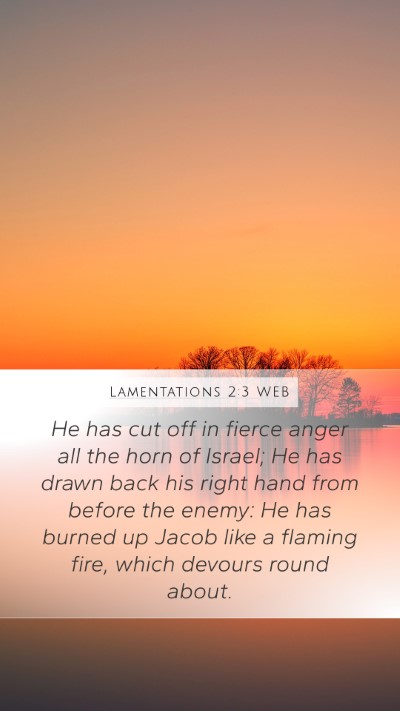 Lamentations 2:3 WEB Bible Verse Image