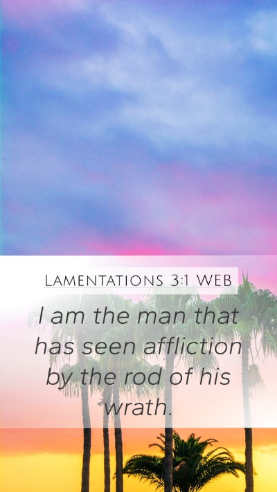 Lamentations 3:1 WEB Bible Verse Image