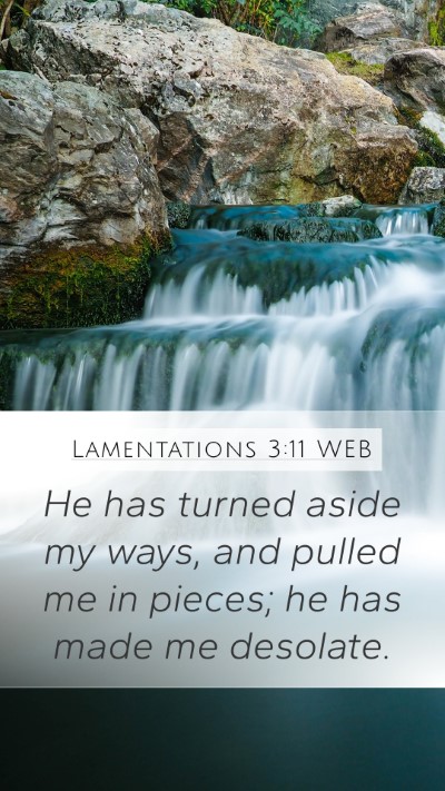 Lamentations 3:11 WEB Mobile Phone Wallpaper - He has turned aside my ways, and pulled me in - Mobile Bible Verse Wallpaper