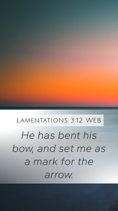 Lamentations 3:12 WEB Mobile Phone Wallpaper - He has bent his bow, and set me as a mark for the - Mobile Bible Verse Wallpaper