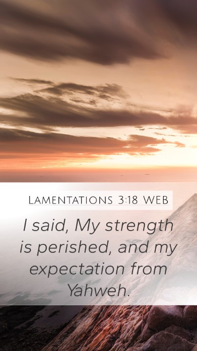 Lamentations 3:18 WEB Bible Verse Image
