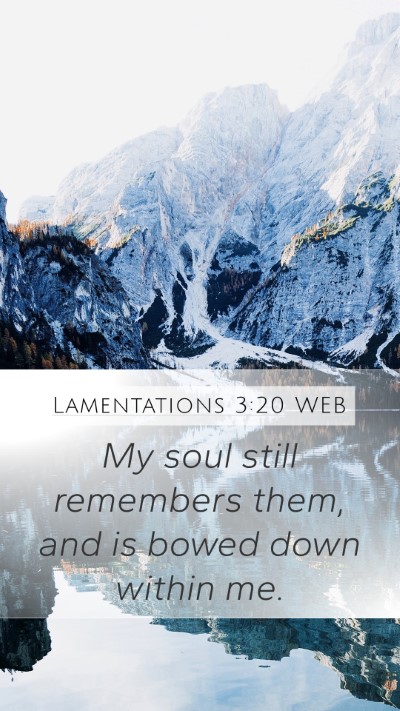 Lamentations 3:20 WEB Bible Verse Image
