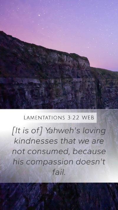 Lamentations 3:22 WEB Bible Verse Image