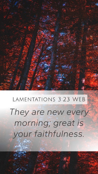 Lamentations 3:23 WEB Bible Verse Image