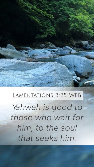 Lamentations 3:25 WEB Bible Verse Image