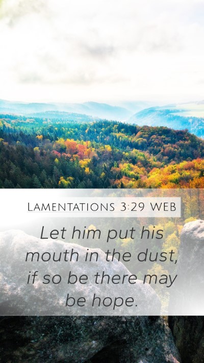 Lamentations 3:29 WEB Bible Verse Image