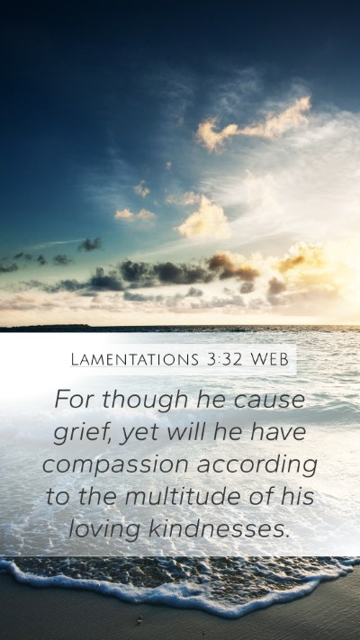 Lamentations 3:32 WEB Bible Verse Image
