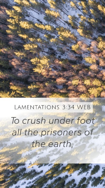 Lamentations 3:34 WEB Bible Verse Image