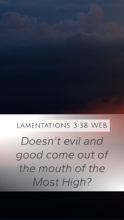 Lamentations 3:38 WEB Bible Verse Image
