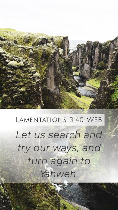 Lamentations 3:40 WEB Bible Verse Image