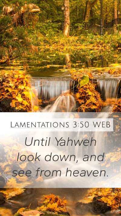 Lamentations 3:50 WEB Bible Verse Image