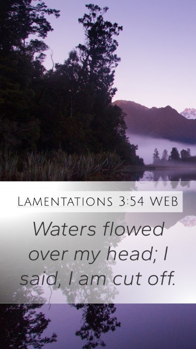 Lamentations 3:54 WEB Bible Verse Image