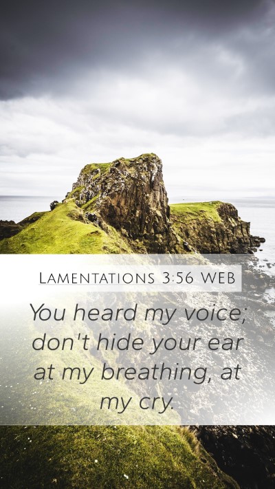 Lamentations 3:56 WEB Mobile Phone Wallpaper - You heard my voice; don't hide your ear at my - Mobile Bible Verse Wallpaper