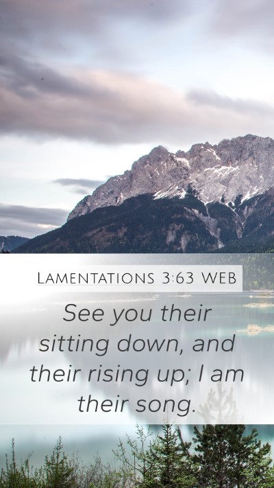Lamentations 3:63 WEB Bible Verse Image