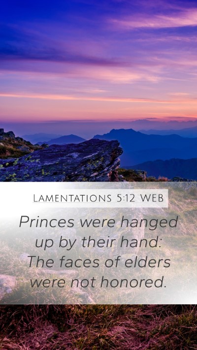 Lamentations 5:12 WEB Bible Verse Image