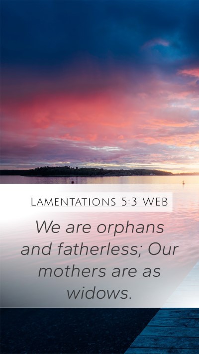 Lamentations 5:3 WEB Bible Verse Image