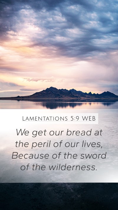 Lamentations 5:9 WEB Bible Verse Image