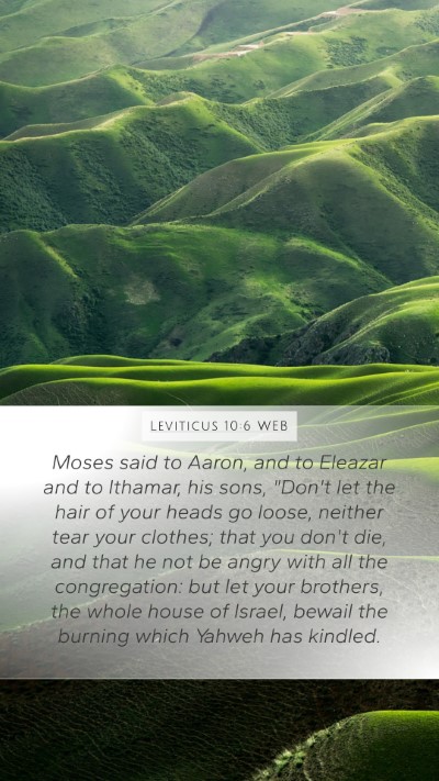 Leviticus 10:6 WEB Bible Verse Image