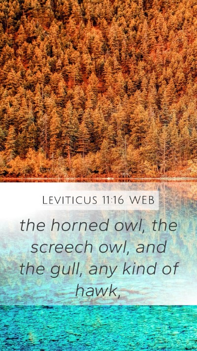Leviticus 11:16 WEB Mobile Phone Wallpaper - the horned owl, the screech owl, and the gull, - Mobile Bible Verse Wallpaper