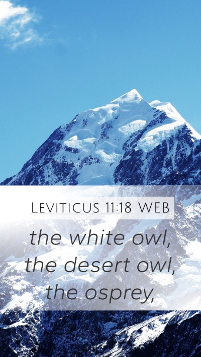 Leviticus 11:18 WEB Mobile Phone Wallpaper - the white owl, the desert owl, the - Mobile Bible Verse Wallpaper