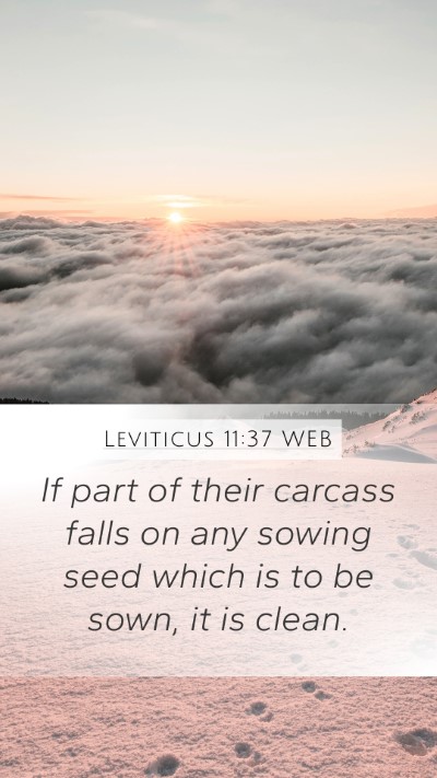 Leviticus 11:37 WEB Mobile Phone Wallpaper - If part of their carcass falls on any sowing seed - Mobile Bible Verse Wallpaper