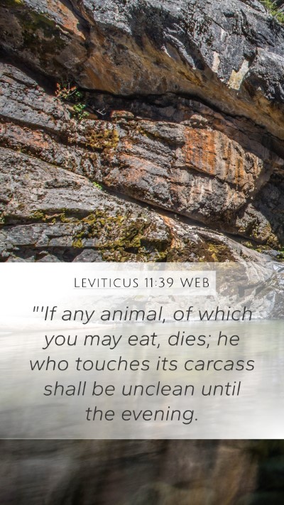 Leviticus 11:39 WEB Bible Verse Image