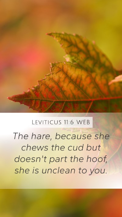 Leviticus 11:6 WEB Mobile Phone Wallpaper - The hare, because she chews the cud but doesn't - Mobile Bible Verse Wallpaper
