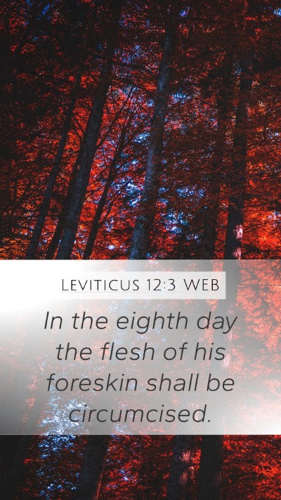 Leviticus 12:3 WEB Bible Verse Image
