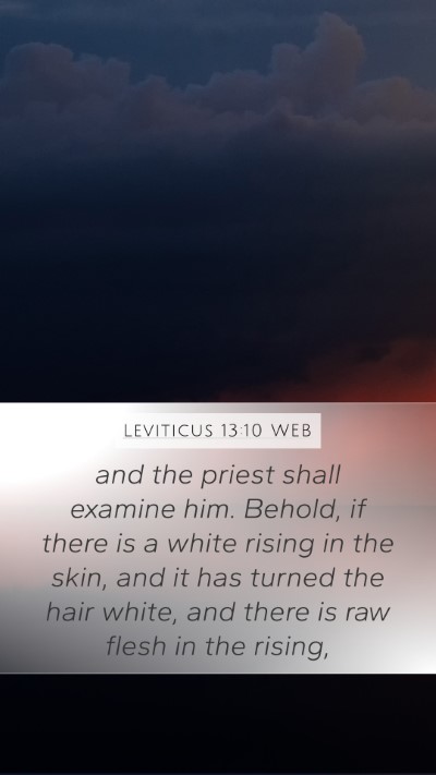 Leviticus 13:10 WEB Mobile Phone Wallpaper - and the priest shall examine him. Behold, if - Mobile Bible Verse Wallpaper