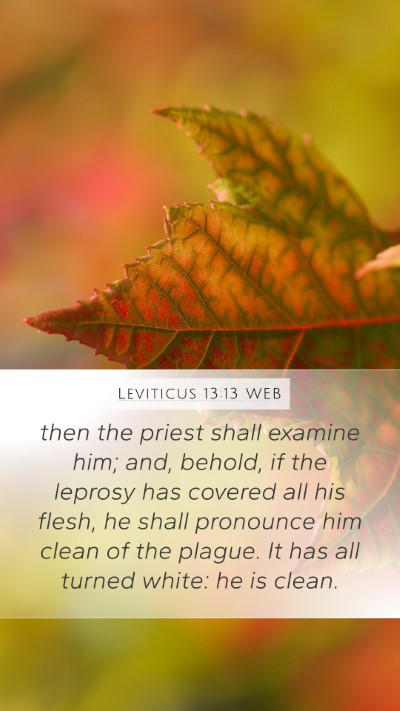 Leviticus 13:13 WEB Mobile Phone Wallpaper - then the priest shall examine him; and, behold, - Mobile Bible Verse Wallpaper