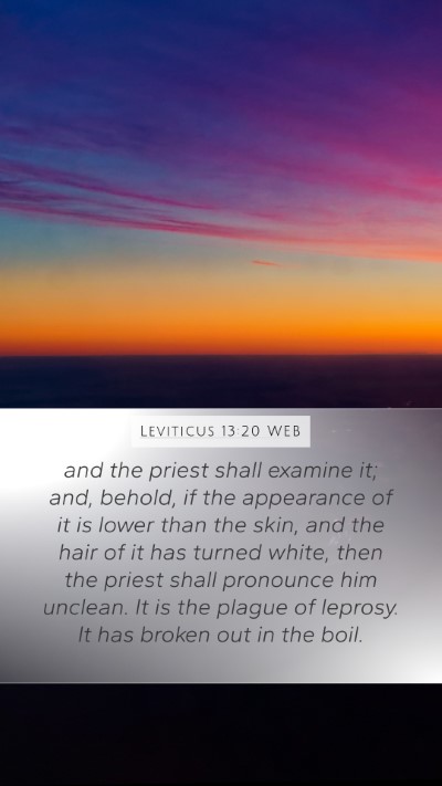 Leviticus 13:20 WEB Mobile Phone Wallpaper - and the priest shall examine it; and, behold, if - Mobile Bible Verse Wallpaper