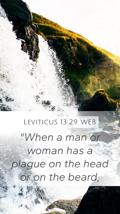 Leviticus 13:29 WEB Bible Verse Image