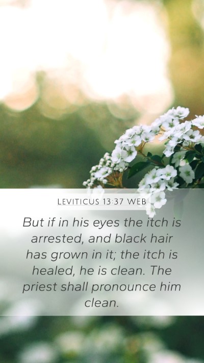 Leviticus 13:37 WEB Mobile Phone Wallpaper - But if in his eyes the itch is arrested, and - Mobile Bible Verse Wallpaper