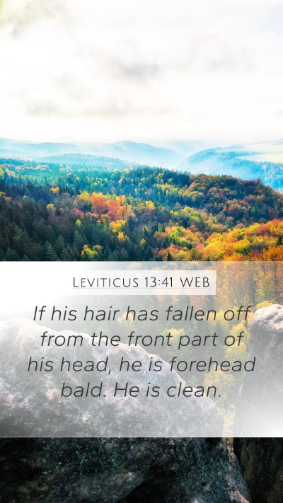 Leviticus 13:41 WEB Mobile Phone Wallpaper - If his hair has fallen off from the front part of - Mobile Bible Verse Wallpaper