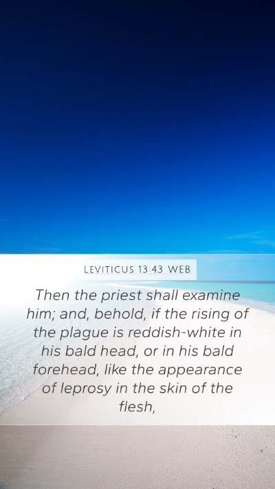 Leviticus 13:43 WEB Bible Verse Image