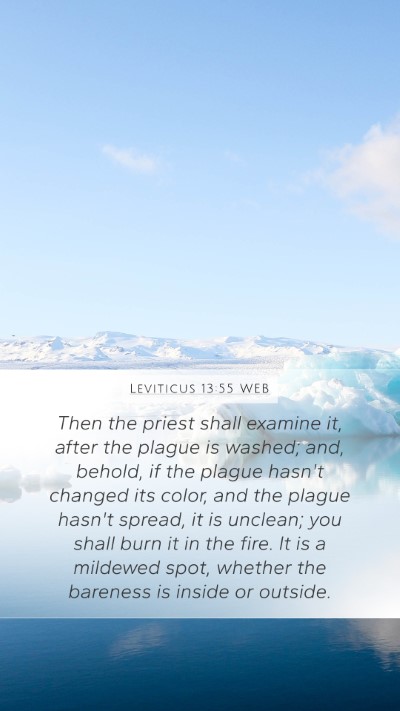 Leviticus 13:55 WEB Mobile Phone Wallpaper - Then the priest shall examine it, after the - Mobile Bible Verse Wallpaper