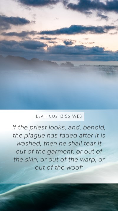 Leviticus 13:56 WEB Mobile Phone Wallpaper - If the priest looks, and, behold, the plague has - Mobile Bible Verse Wallpaper