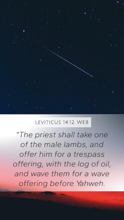 Leviticus 14:12 WEB Bible Verse Image