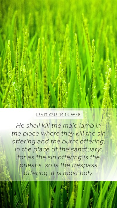 Leviticus 14:13 WEB Bible Verse Image