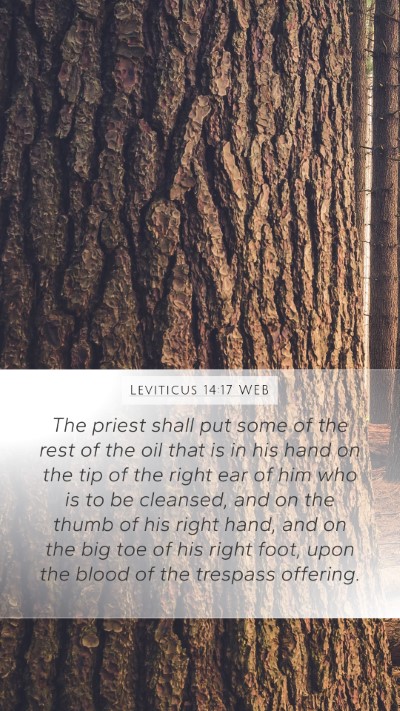 Leviticus 14:17 WEB Bible Verse Image