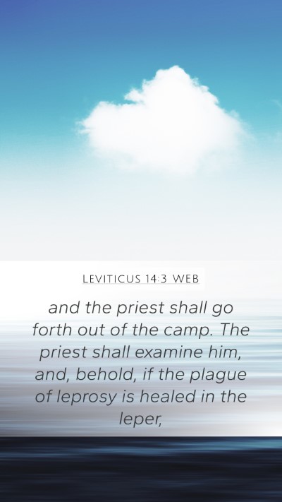 Leviticus 14:3 WEB Bible Verse Image