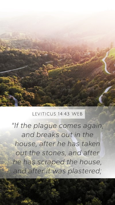 Leviticus 14:43 WEB Mobile Phone Wallpaper - 