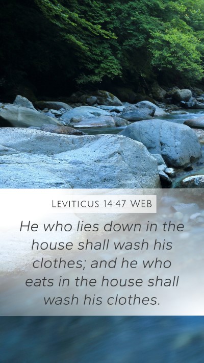 Leviticus 14:47 WEB Mobile Phone Wallpaper - He who lies down in the house shall wash his - Mobile Bible Verse Wallpaper