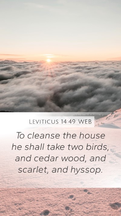 Leviticus 14:49 WEB Bible Verse Image