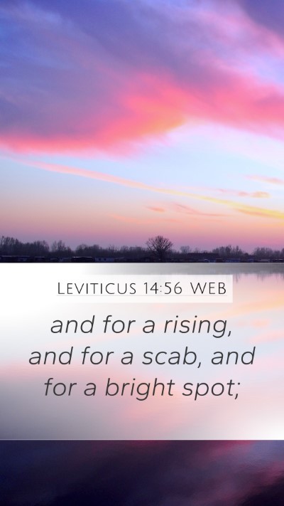 Leviticus 14:56 WEB Bible Verse Image