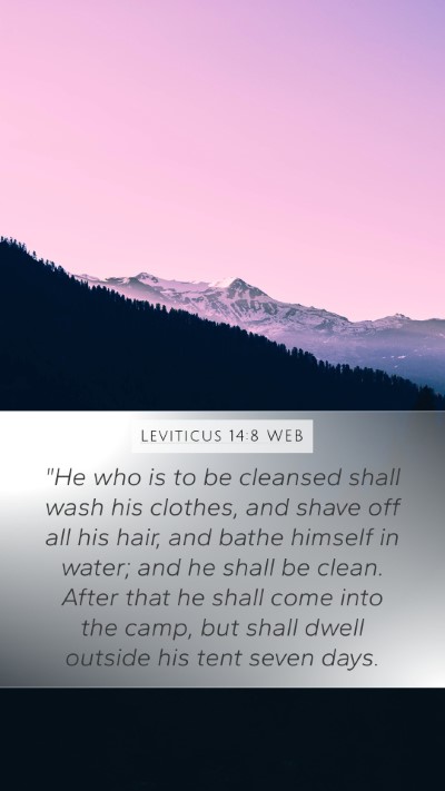Leviticus 14:8 WEB Bible Verse Image