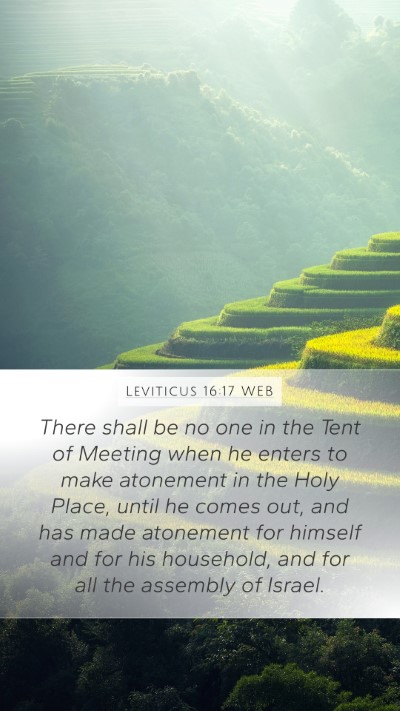 Leviticus 16:17 WEB Bible Verse Image