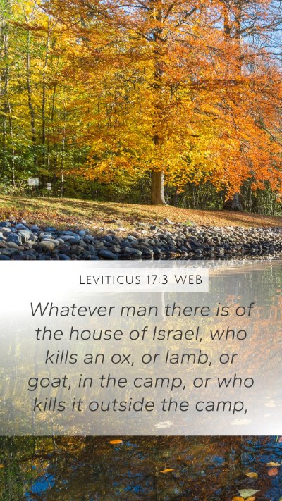 Leviticus 17:3 WEB Bible Verse Image