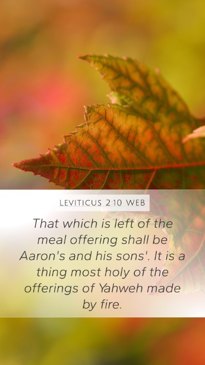 Leviticus 2:10 WEB Bible Verse Image